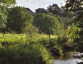 Association Agréée pour la Protection du Milieu Aquatique la Leyrenne