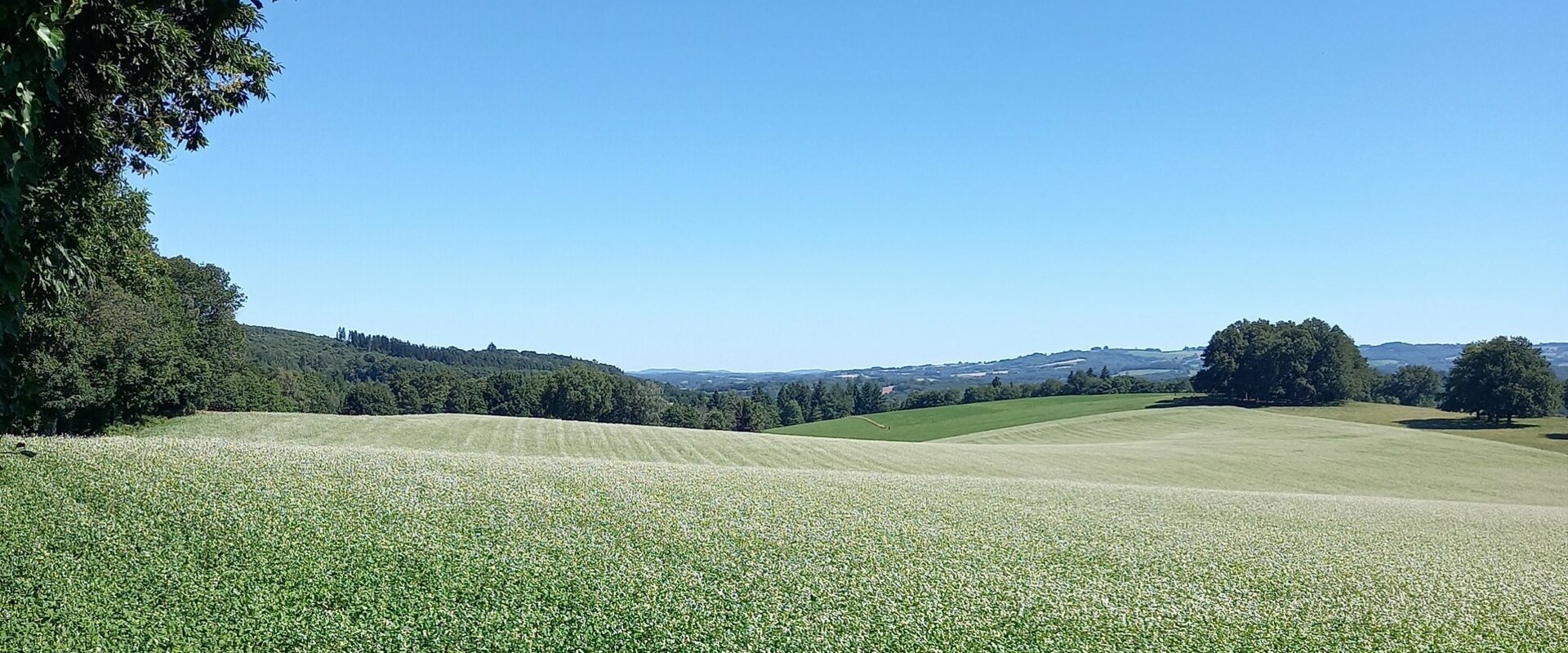 Découverte tourisme saint dizier masbaraud creuse (23)